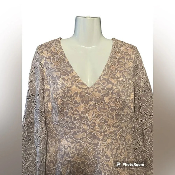 Eliza J Fit & Flare Lace Dress Sz 6 - Picture 4 of 12